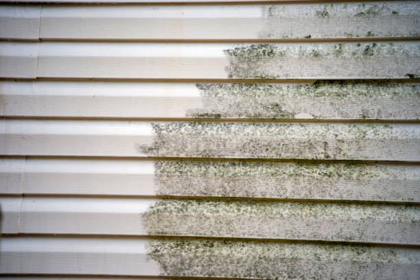 Affordable Siding Repair and Maintenance Services in Osprey, FL