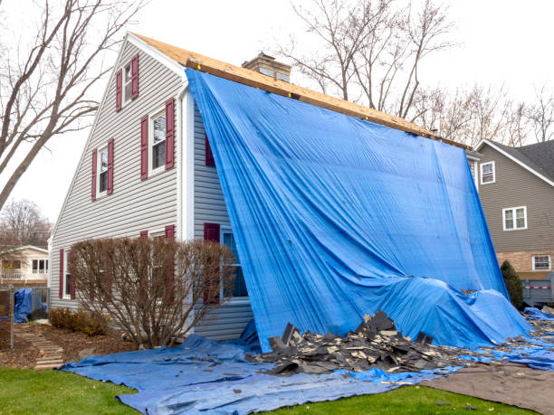 Professional Siding Installation in Osprey, FL